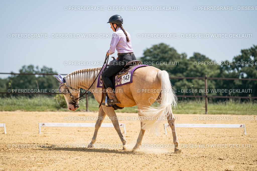 DSC01089 | Pferdegrafie