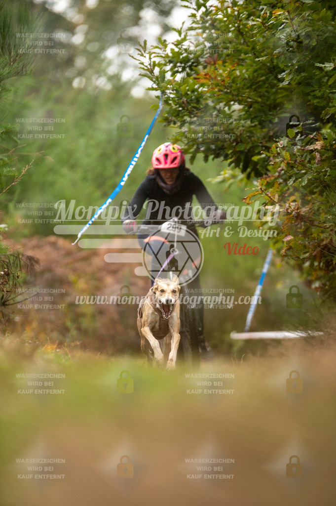 TSB_2023_E5_Bike-47 | PayLife