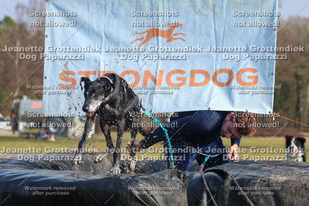 Dog Paparazzi - Strongdog North Mrz26-2537 | Dog Paparazzi Jeanette Grottendiek Fotografie & Videografie - Realisiert mit Pictrs.com