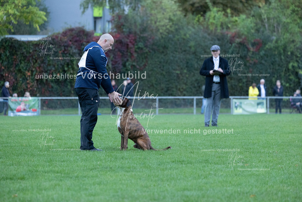 _16A4450 | Einzigartige Fotos von Hunden & Menschen –Actionfotos, Portraits, Vereinsaufnahmen & Paarshootings – authentisch, lebendig & mit Herz.