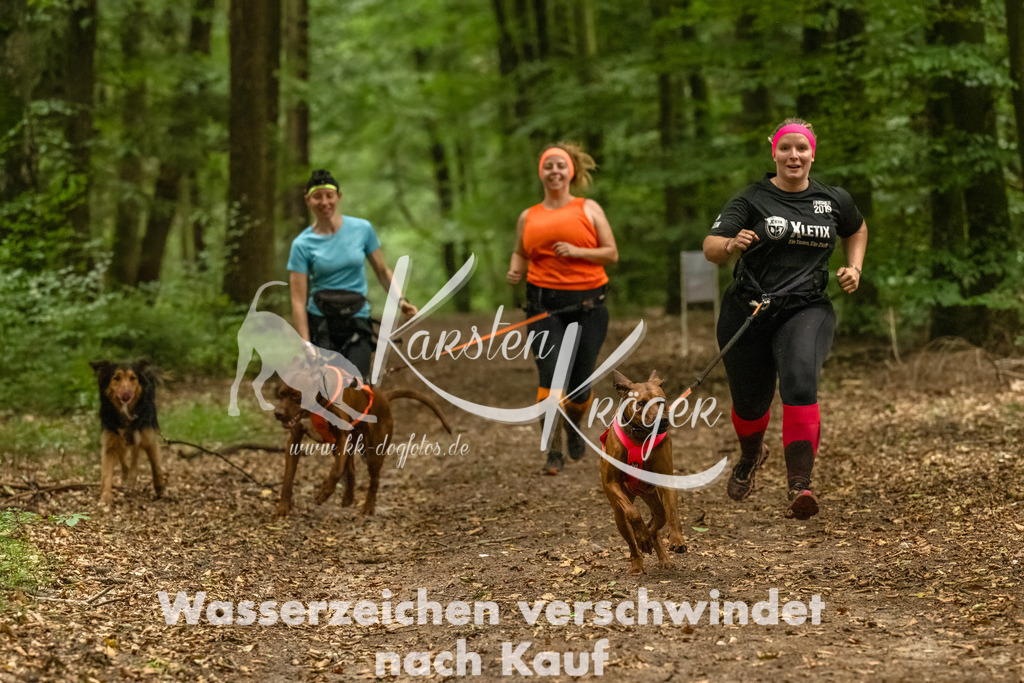 1308_ZZ92097-Bearbeitet | kk-dogfotos