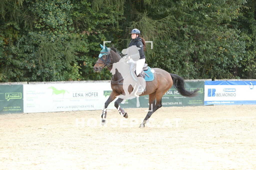 DL2Q6704 | Willkommen bei Brunnmayr - Design & Fotografie – Ihrem Spezialisten für Reitturniere und Pferdeveranstaltungen in Oberösterreich, Salzburg und Bayern! Seit über 17 Jahren sind wir leidenschaftlich dabei.