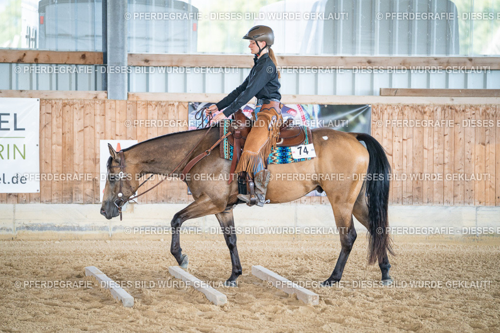 DSC03362 | Pferdegrafie