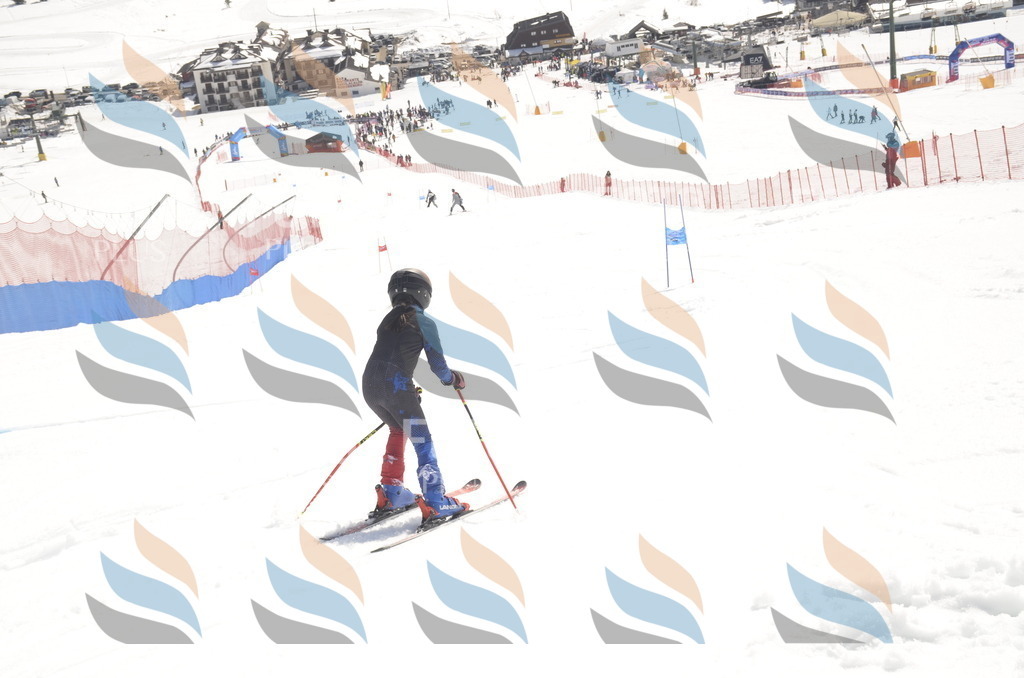 _ELE9479 | holidayphoto