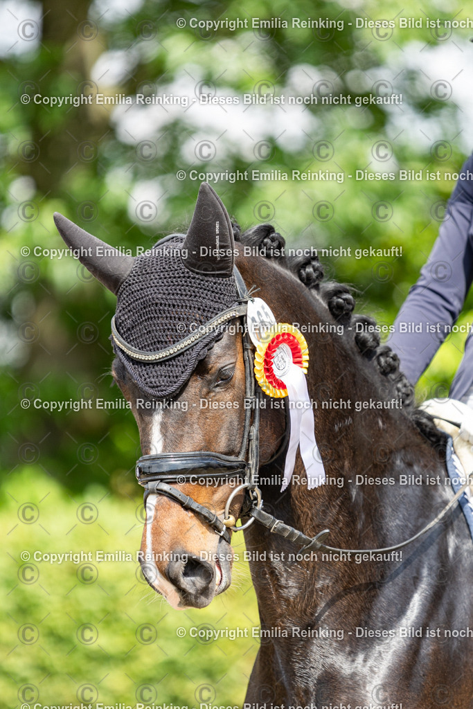 CL5A6337 | Emilia Reinking Fotografie - Realisiert mit Pictrs.com