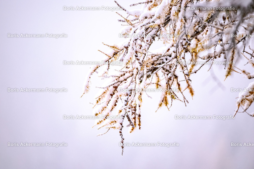 148A4645 | FineArtPrint, Hahnemühle, FeeGalerie, Fee Galerie, Fotokunst, Fotografie, Canonphotography, Bergfoto, Matterhorn, Rimpfischhorn, Allalinhorn, Saas-Fee, Wallis, Valais, Switzerland, Bergfotografie