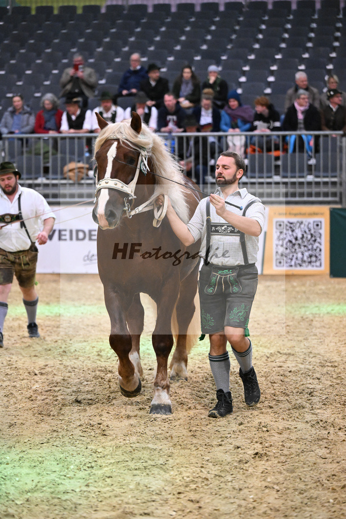 Kat-Nr. 11 Valesco I v. Venturin_HHG Bad Toelz_1260187 | hf-fotografie - Realisiert mit Pictrs.com