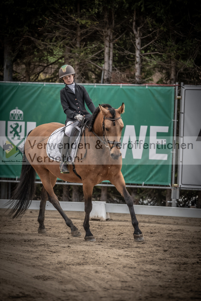 DSC_8439 | equestrian-live-com