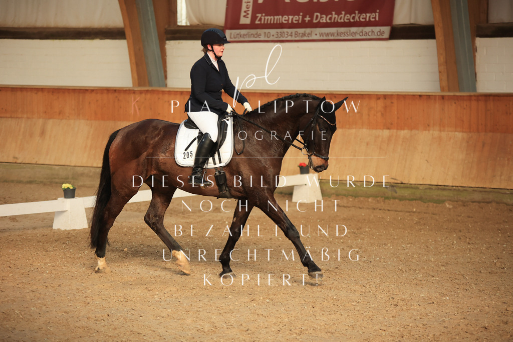 IMGT3995 | pl-fotografie