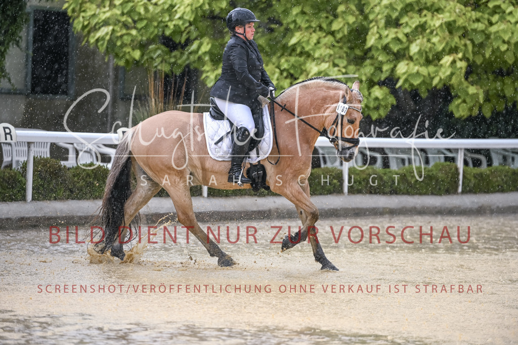 Schugtsche-Aluta25-54.Dressurprf.L1Trense-92 | Schugtsche Fotografie - Realisiert mit Pictrs.com