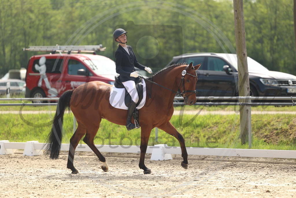 994A6479 | sabrinanicolaifotografie - Realisiert mit Pictrs.com