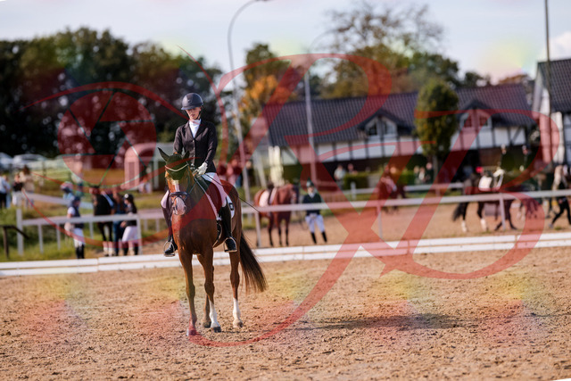 2026_10_03_Siefer-Hof_133307_Z81_90991240 | Professionelle Reitsport-, Turnier- und Eventfotografie von Robert Broda. Galerien mit ausgewählten und bearbeiteten Bildern direkt online ansehen und bestellen.