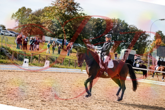 2026_10_03_Siefer-Hof_133621_Z63_96843900 | Professionelle Reitsport-, Turnier- und Eventfotografie von Robert Broda. Galerien mit ausgewählten und bearbeiteten Bildern direkt online ansehen und bestellen.