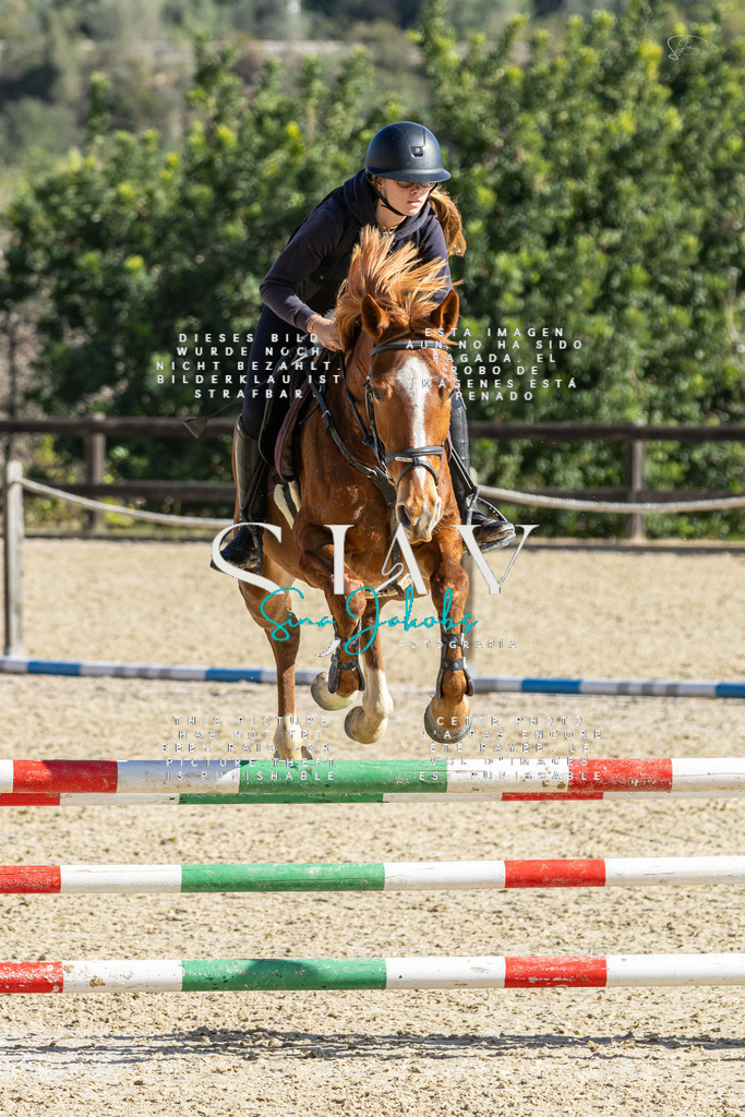 IMG_3921 | s-jay-photography - Realisiert mit Pictrs.com