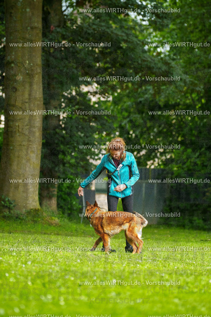 @allesWIRTHgut_Tierfotografie - www.allesWIRTHgut.de - 101837-7R508317 | Professionelle Tierfotografie in Mönchengladbach von Daniel Wirth (allesWIRTHgut). Liebevolle & natürliche Bilder von Hunden & Katzen für unvergessliche Erinnerungen.