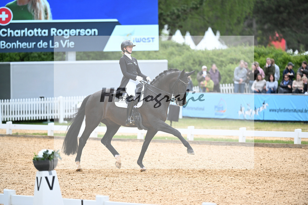 Rogerson_Bonheur De La Vie_26266019 | hf-fotografie - Realisiert mit Pictrs.com
