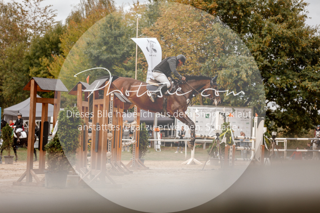 3I6A8047 | Stimmungsvolle Portraits und Reitsportfotografie im Ruhrgebiet und im Münsterland.

Pferdefotografie, Hundefotografie, Tierfotografie, Reportagen, Portraits von Tier und Mensch, Turnierfotografie in Bochum, Recklinghausen, Marl, Haltern am See, Dülmen.. - Realisiert mit Pictrs.com
