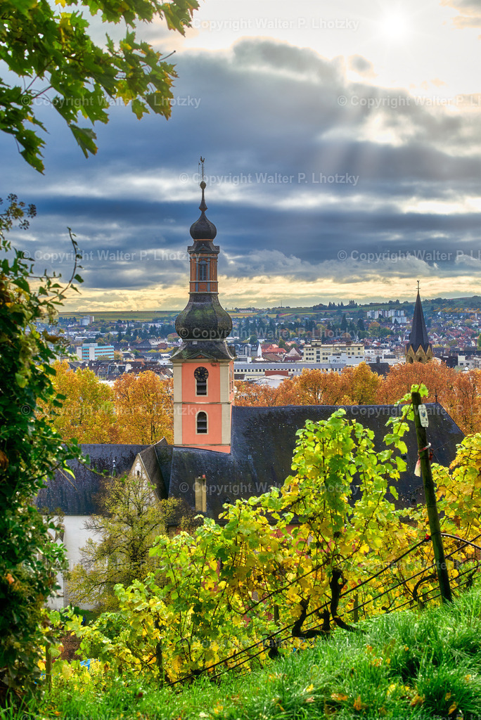 L1006502 | wlstudio - Realisiert mit Pictrs.com