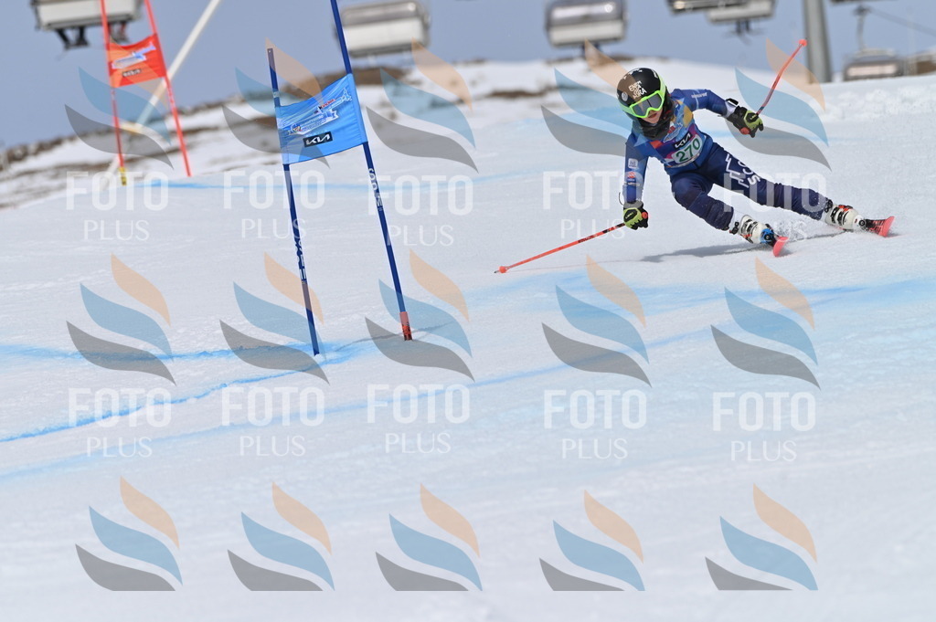 BGV_5342 | holidayphoto