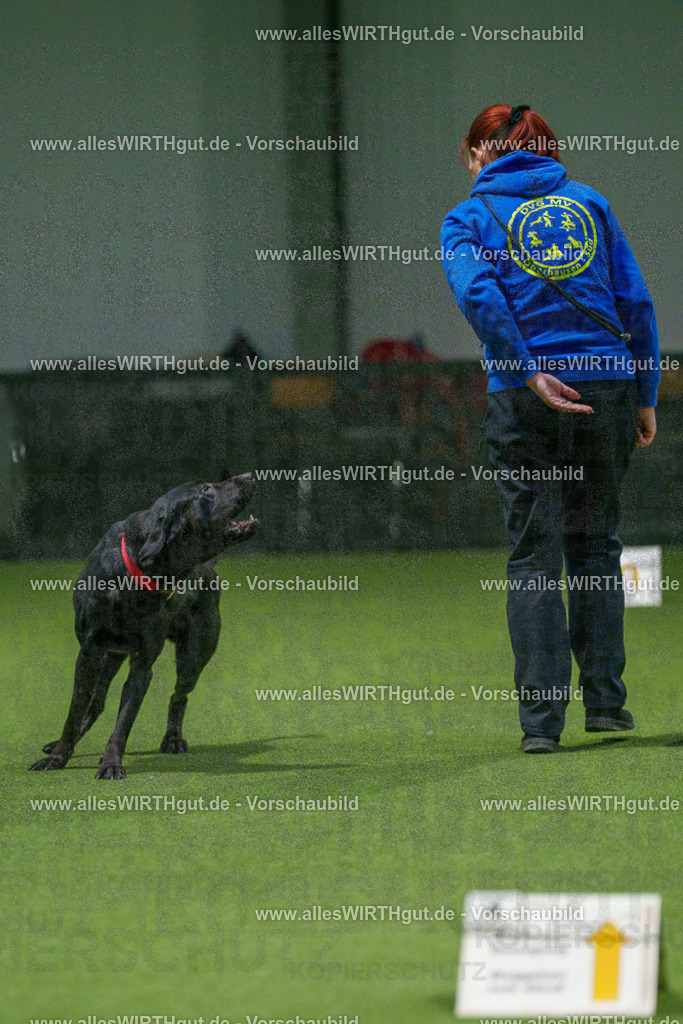 7R508422 | Professionelle Tierfotografie in Mönchengladbach von Daniel Wirth (allesWIRTHgut). Liebevolle & natürliche Bilder von Hunden & Katzen für unvergessliche Erinnerungen.