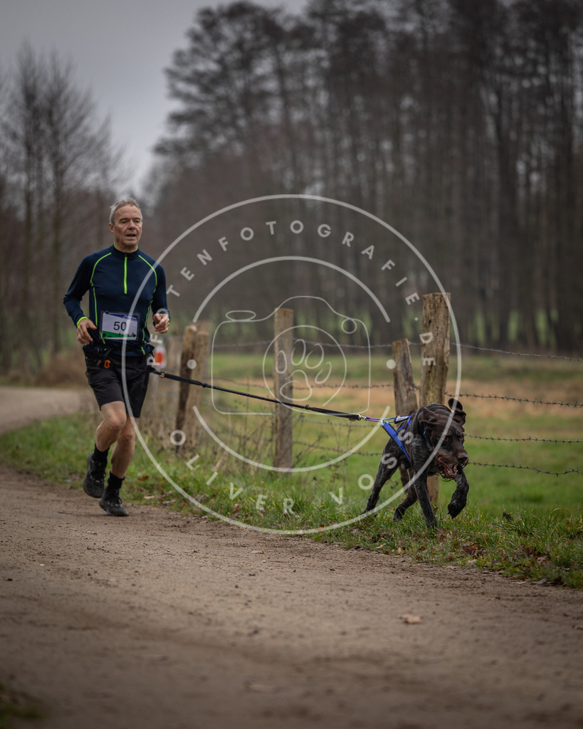 Pfotenfotografie_DV3A2827 | Hundefotografie, Tierfotograf, Pfotenfotografie, Fotoshooting Hund, Hunde Portrait, Hundesport, Hundeportraits, Heideshooting, Hunde, Sportfotograf, Hundefotograf, Turnierhundsport, THS,  - Realisiert mit Pictrs.com