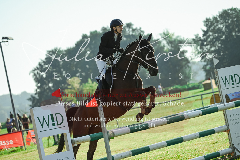 DSC_4418 | Pferde- und Turnierfotografie in Westsachsen. Pferdeportraits, Auftragszeichnungen und intuitive Kunst.
