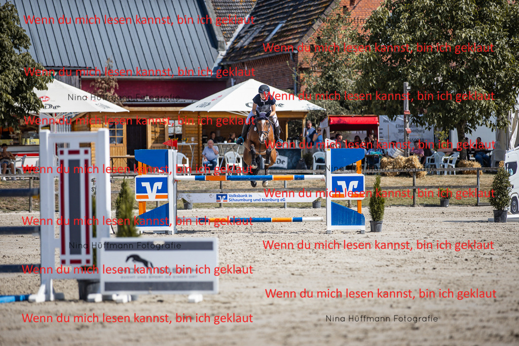 BK1A6917 | Turnierbilder Turnierfotos Nina Hüffmann Turnierfotografie Pferdefotografie Tierzeichnung Haustierzeichnung Pferdezeichnung Hundezeichnung Videograf  - Realisiert mit Pictrs.com