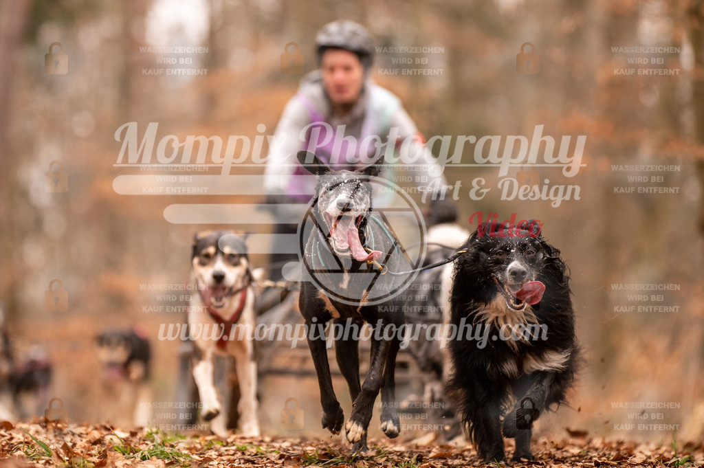 AKM_ST_2023_SAM_DR4-38 | PayLife