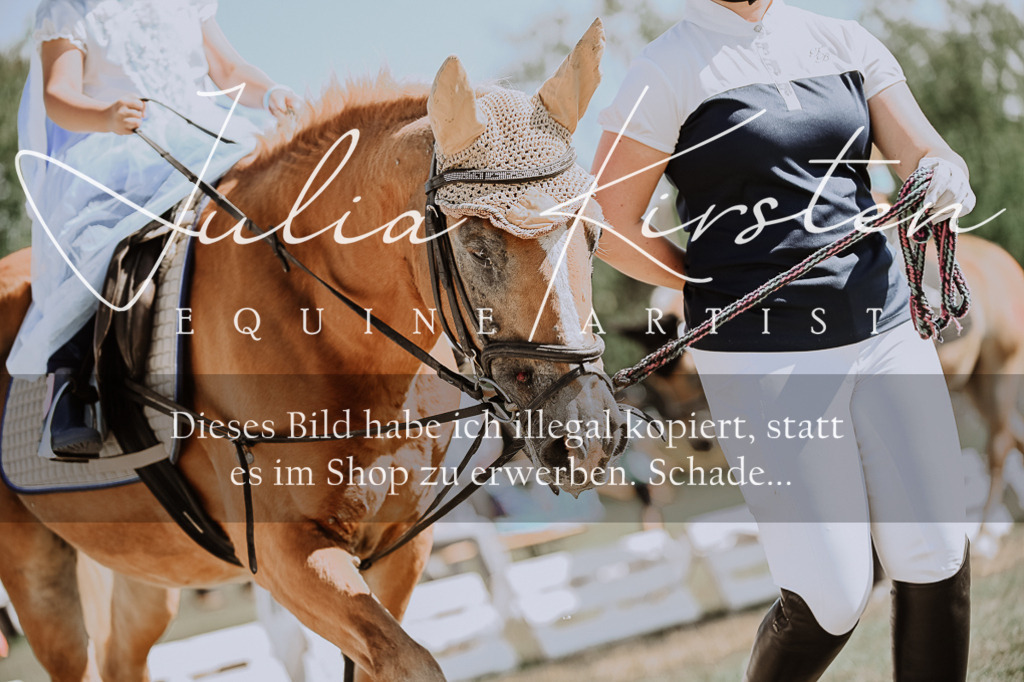 DSC_8880 | Pferde- und Turnierfotografie in Westsachsen. Pferdeportraits, Auftragszeichnungen und intuitive Kunst.