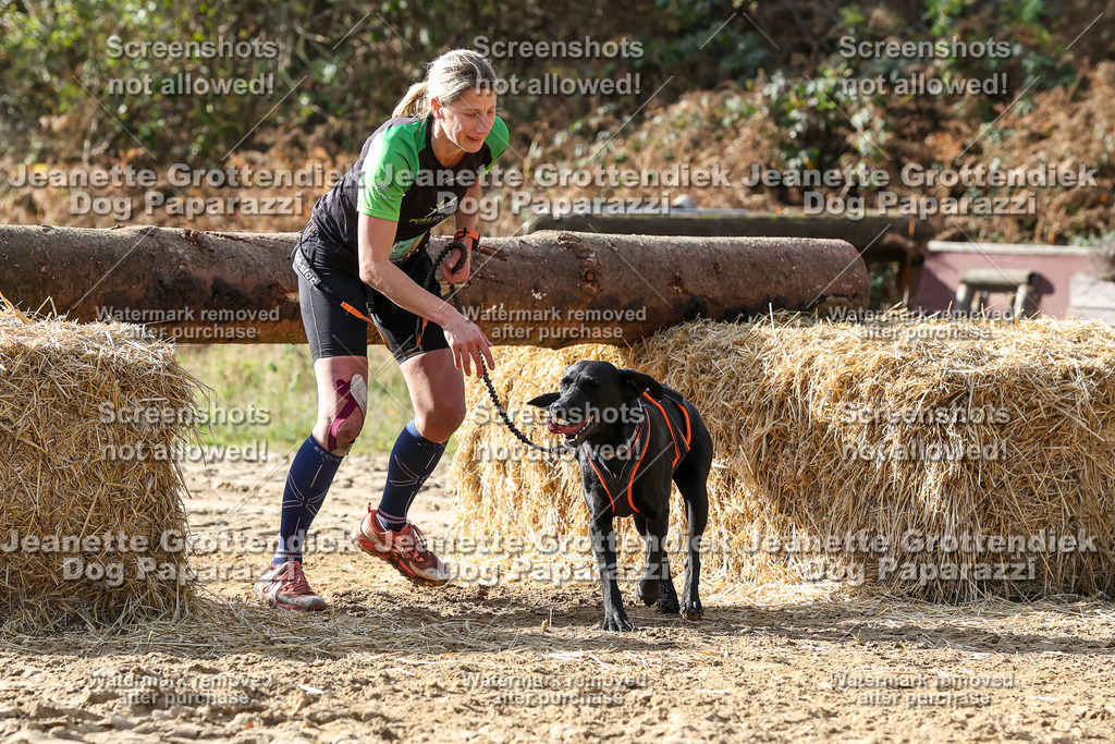Dog Paparazzi - Strongdog 10-25-5736 | Dog Paparazzi Jeanette Grottendiek Fotografie & Videografie - Realisiert mit Pictrs.com