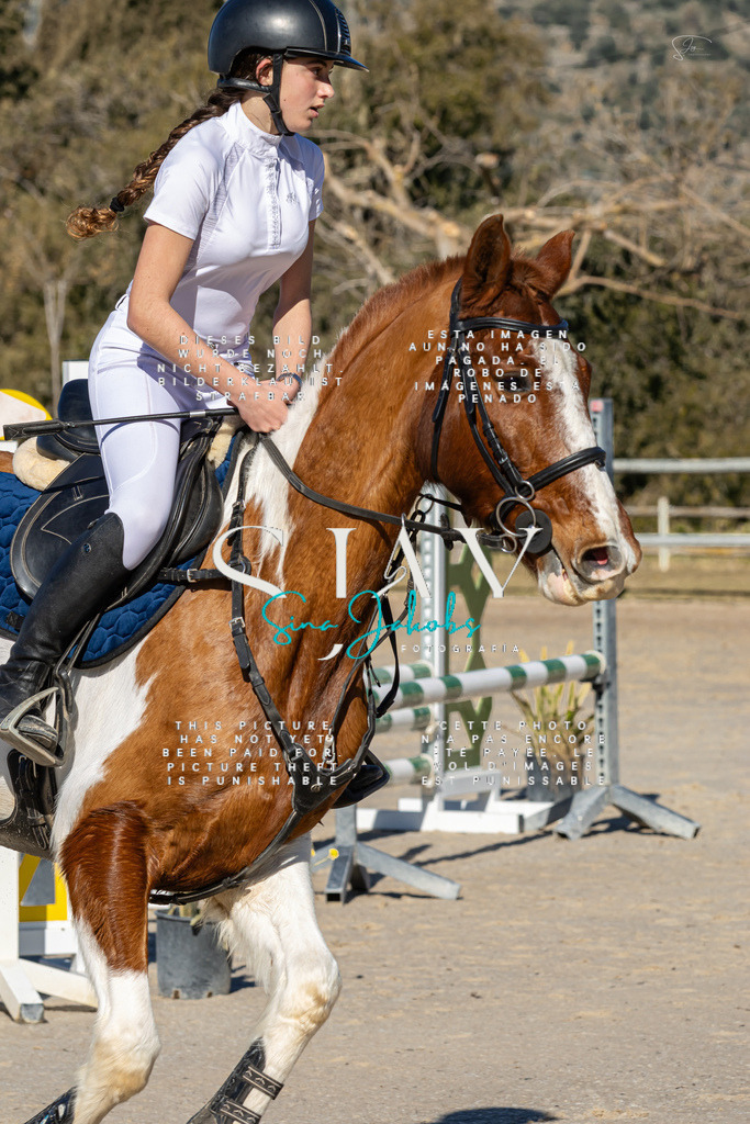 IMG_8399 | s-jay-photography - Realisiert mit Pictrs.com