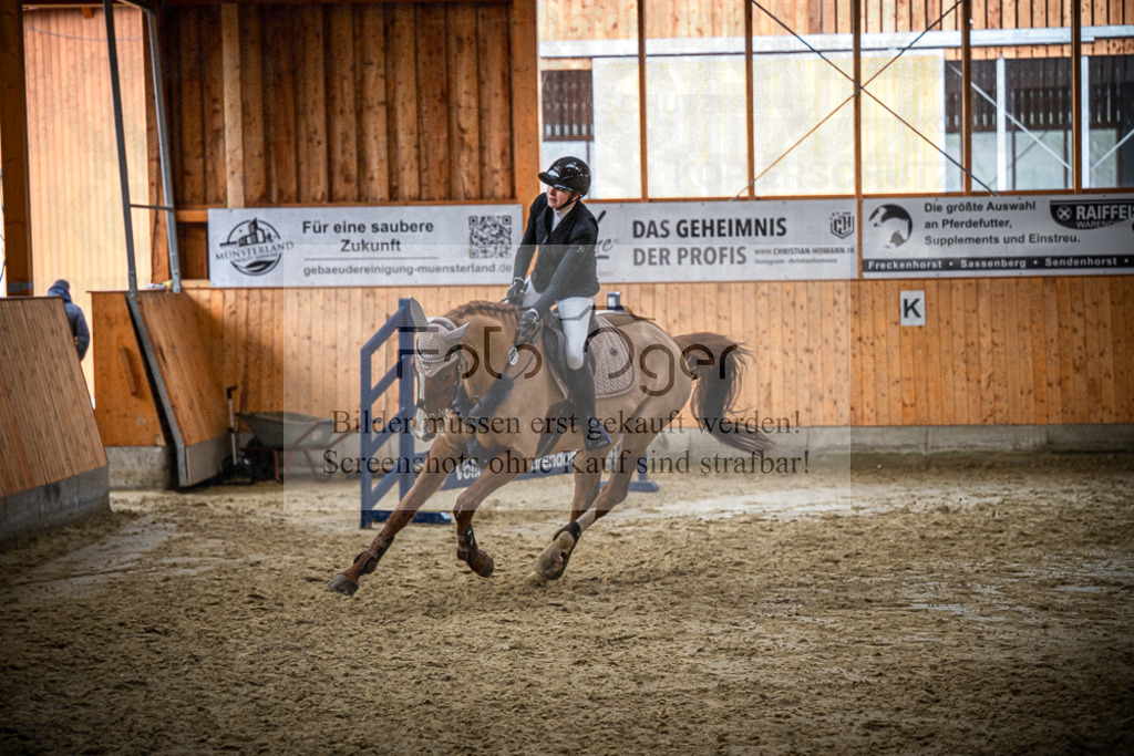 DOS_1966 | Entdecke hochwertige Reitturnierfotos von Foto Oger. Professionell, emotional und authentisch – jetzt Lieblingsmomente im Shop bestellen.Deutschlandweite Turnierfotografie. - Realisiert mit Pictrs.com