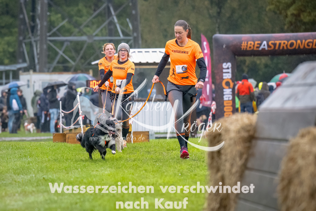 1009-2 | kk-dogfotos