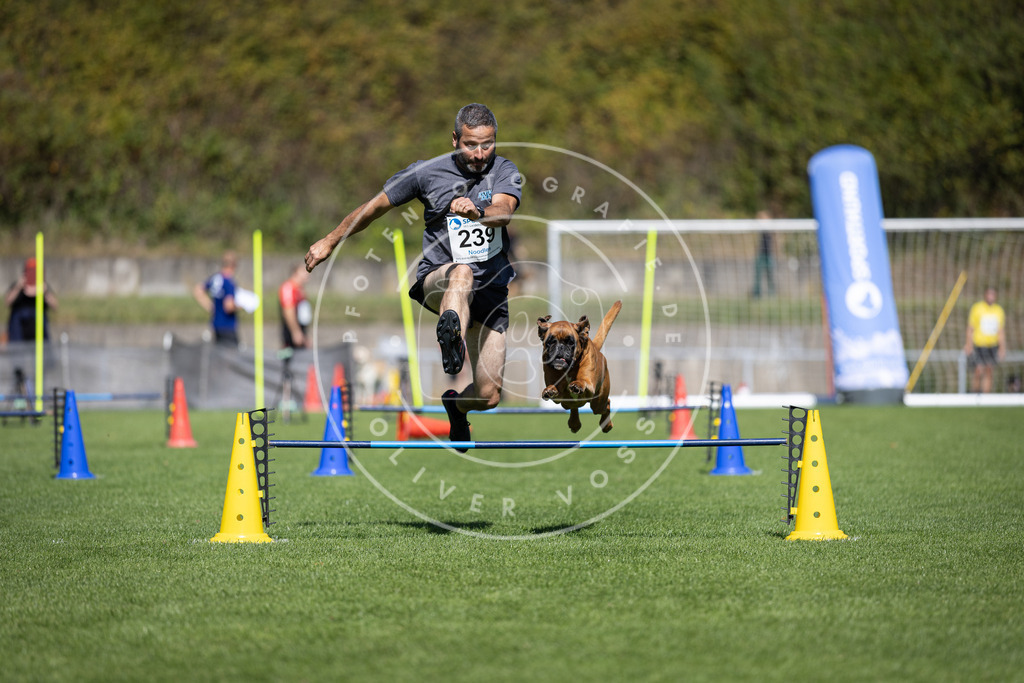 Pfotenfotografie_DV3A5871 | Hundefotografie, Tierfotograf, Pfotenfotografie, Fotoshooting Hund, Hunde Portrait, Hundesport, Hundeportraits, Heideshooting, Hunde, Sportfotograf, Hundefotograf, Turnierhundsport, THS,  - Realisiert mit Pictrs.com