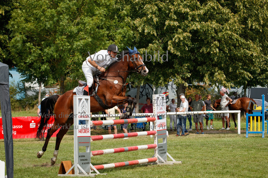 IMG_3452 | P. Berger Fotografie - Realisiert mit Pictrs.com