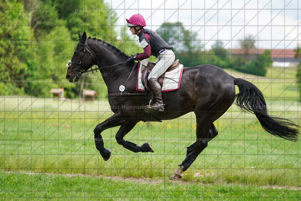 20240518-FAH03841 | Turnierbilder von Niederseon, Turnierfotografen Bayern, Fotoagentur Herrmann, Geländebilder, Reitsportfotografie