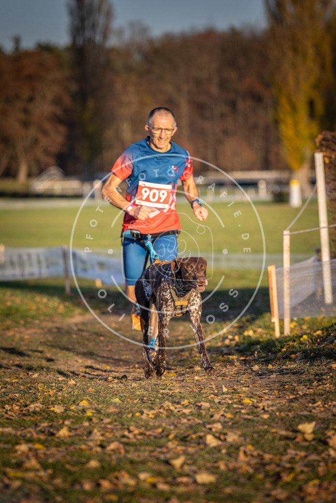 CaniXpix_DV3A4680 | Hundefotografie, Tierfotograf, Pfotenfotografie, Fotoshooting Hund, Hunde Portrait, Hundesport, Hundeportraits, Heideshooting, Hunde, Sportfotograf, Hundefotograf, Turnierhundsport, THS,  - Realisiert mit Pictrs.com