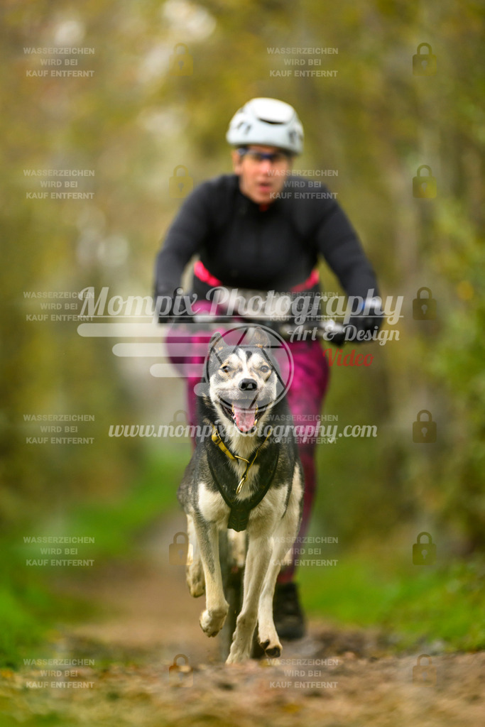 MompixPhotography_20TSB_E6_Bike-148 | PayLife