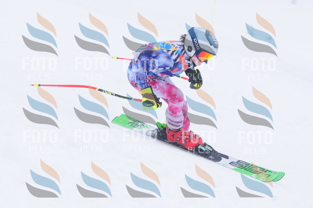 C2443 | holidayphoto