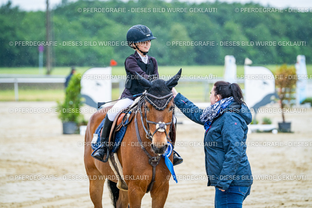 DSC01502 | Pferdegrafie