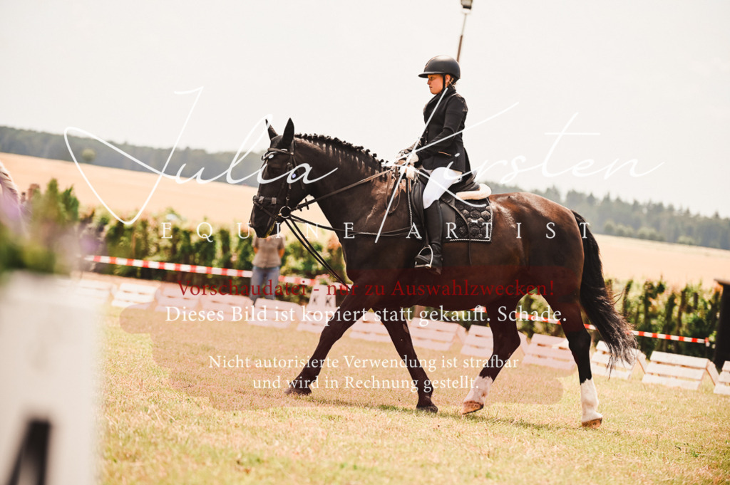 DSC_6314 | Pferde- und Turnierfotografie in Westsachsen. Pferdeportraits, Auftragszeichnungen und intuitive Kunst.