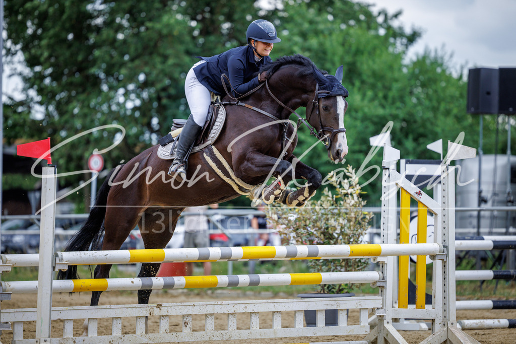20260705-_3LI5351 | Tierfotografie Pferde, Hunde, Katzen, Haustiere.
Turnierfotografie Reitturniere, Reiten, Springreiten, Dressur in Hanau, dem Main-Kinzig-Kreis und dem Rhein-Main- Gebiet um Frankfurt