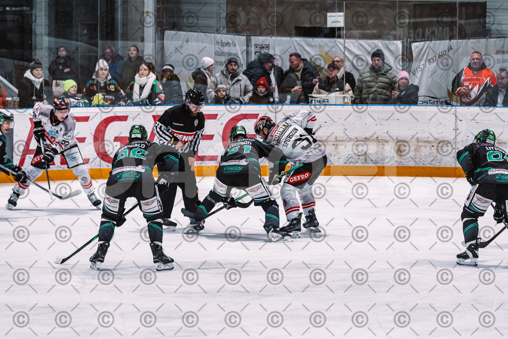 Alligators_vs_Memmingen_05_12_2025-104 | Höchstadt Alligators Fotogalerie: Eishockey-Action aus Franken. Professionelle Spielfotos, Portraits & Stadionbilder zum Download. Jetzt entdecken! - Realisiert mit Pictrs.com