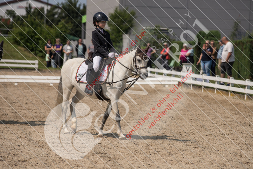 IMG_3190 | Sport-, Event- und Tierfotos in Profiqualität. Einfach auswählen, bestellen und herunterladen. Dein Moment – perfekt festgehalten.