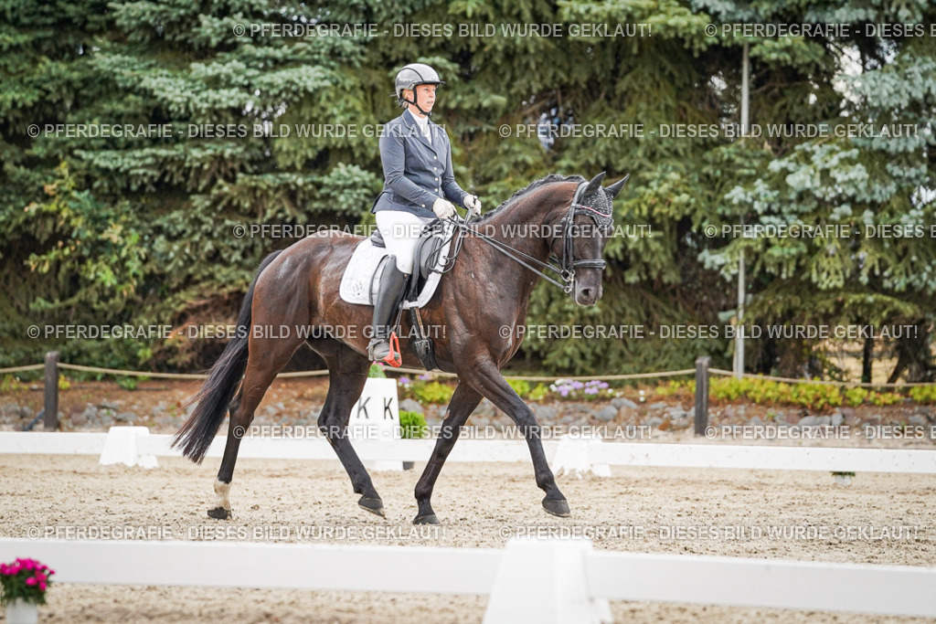 DSC04372 | Pferdegrafie