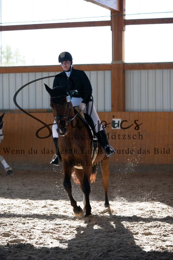 A7V01833 | Turnier/Reitfotograf