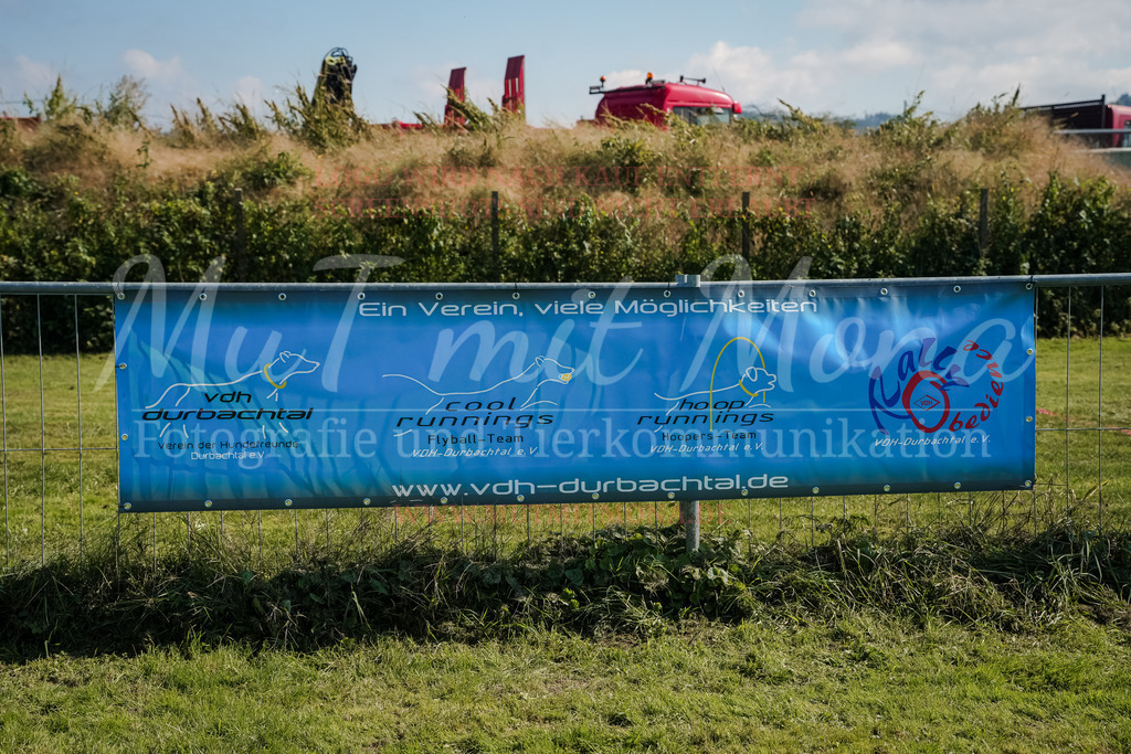 20250928_Hunderennen-726 | MuT (Mensch und Tier) mit Mona - Fotografie und Tierkommunikation - Realisiert mit Pictrs.com
