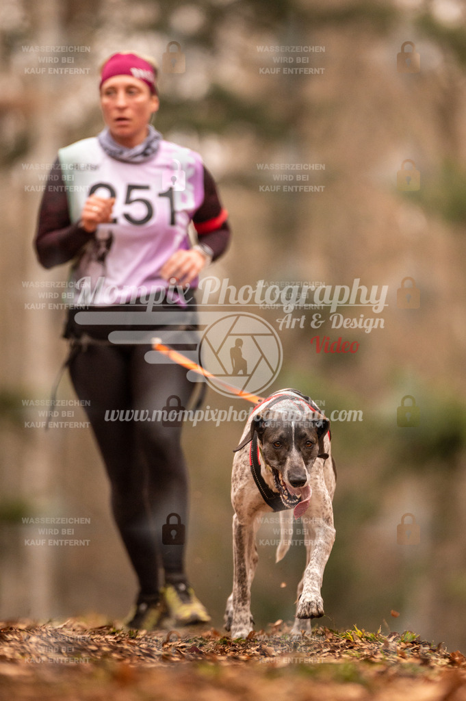 AKM_ST_2023_SAM_Run-130 | PayLife