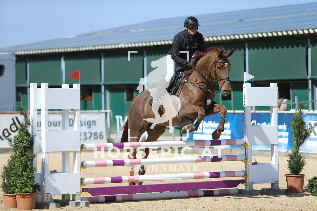 DL2Q3037 | Willkommen bei Brunnmayr - Design & Fotografie – Ihrem Spezialisten für Reitturniere und Pferdeveranstaltungen in Oberösterreich, Salzburg und Bayern! Seit über 17 Jahren sind wir leidenschaftlich dabei.