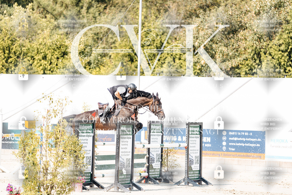 CK901722 | Turnierfotografie Pferdefotografie Trier Rheinland-Pfalz Pferdesport Reitsport Tierfotografie Sportfotografie Pferdevideo Pferdevideografie Equestrianvideography equestrianphotography  - Realisiert mit Pictrs.com